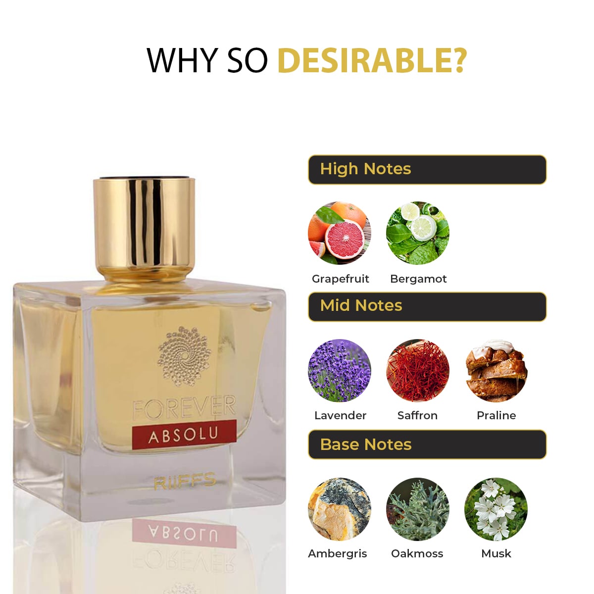 Forever Absolu