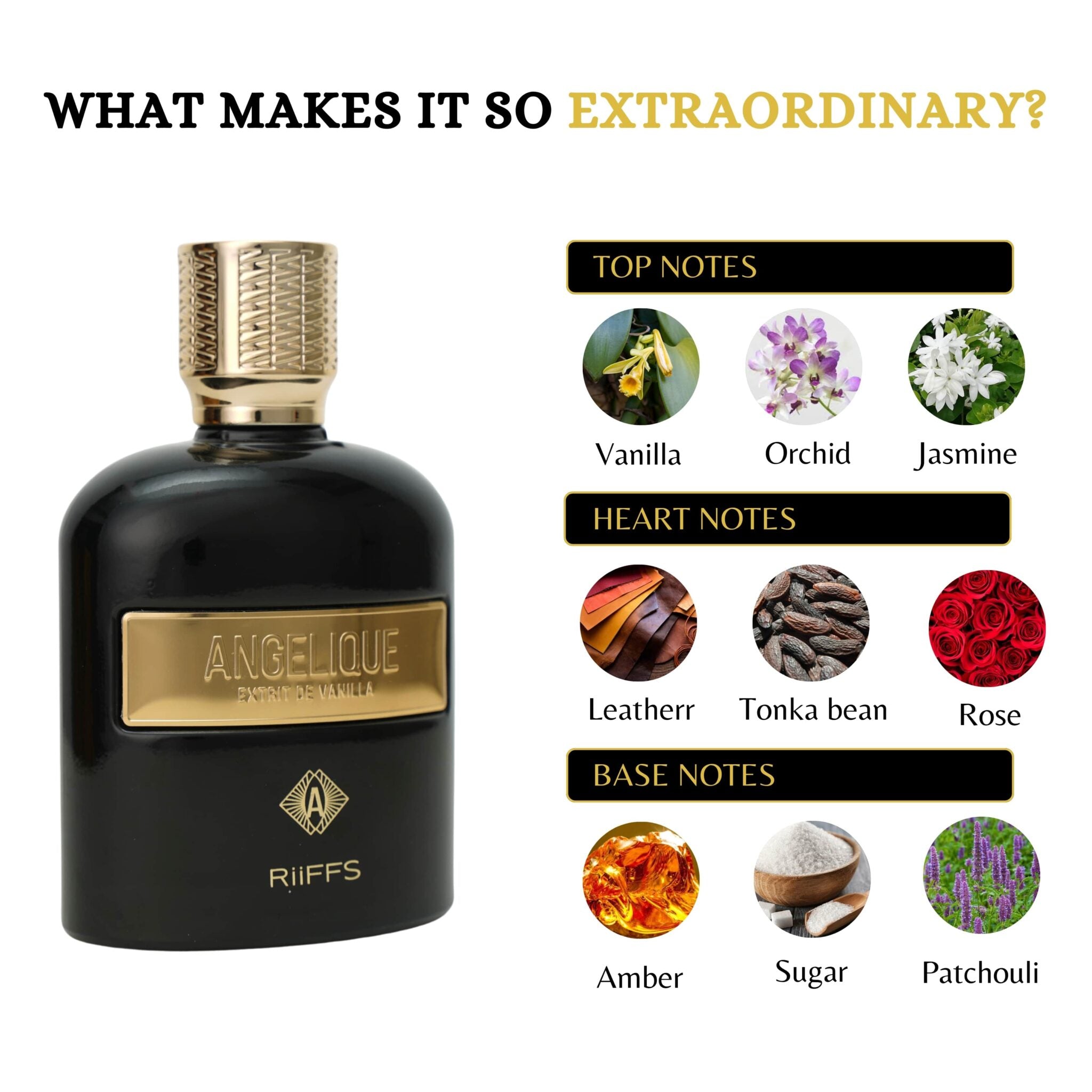 ANGELIQUE EXTRACT DE VANILLA